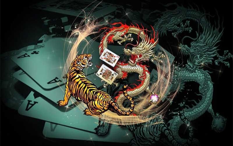 Rồng hổ là gì?